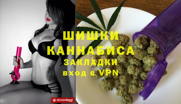 бошки Осинники