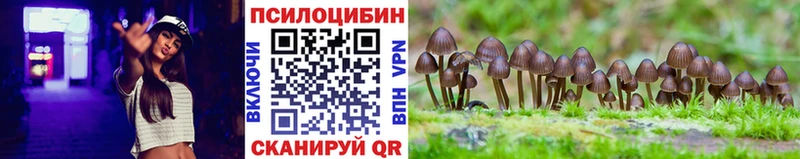 Псилоцибиновые грибы MAGIC MUSHROOMS  как найти   Старый Крым 